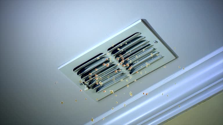 Best Air Duct Cleaning Near Me  in Del Rio, CA