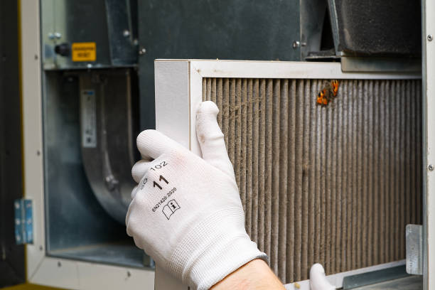 Best Professional Duct Cleaning Services  in Del Rio, CA
